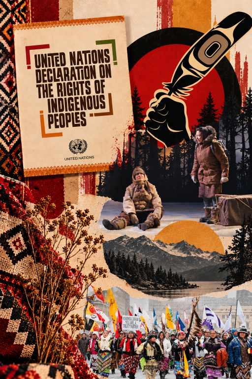 Indigenous Rights_ United Nations Declaration Collage_s
